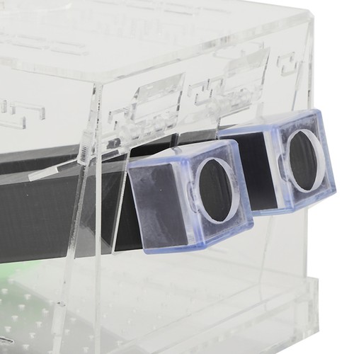 Acrylic feeding cricket keeper - feeding,