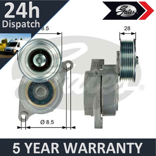 Gates tensioner pulley - gates,