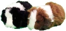 Guinea Pig Soft Toy 20cm - One