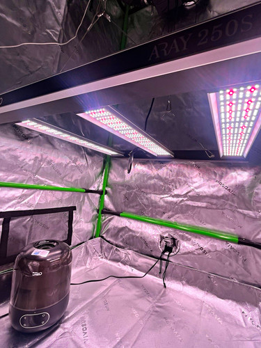 Migro array 250s 250w - led, grow