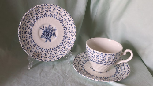 Vintage royal victoria rose - vintage,