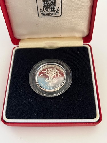 Welsh leek silver proof