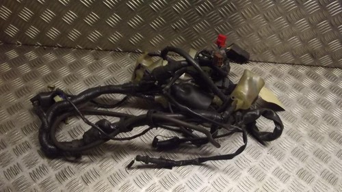 Honda f6c valkyrie wiring loom - honda,