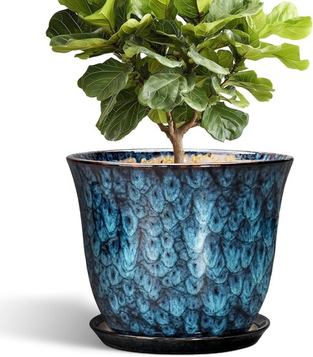 Ceramic plant pots - ceramic,