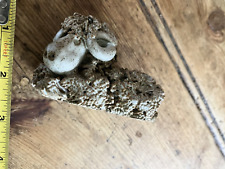 Frkn2 Lovely Vintage Studio