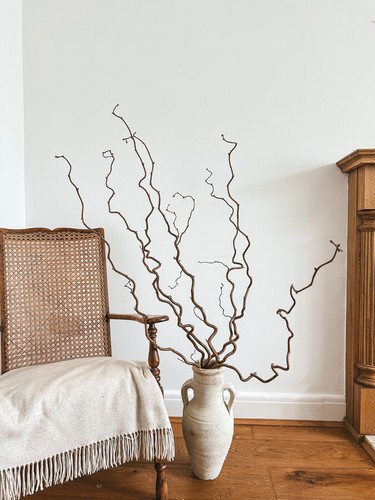 Long twisted hazel - hazel, branches