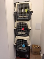 Pet Transport Create/Carrier