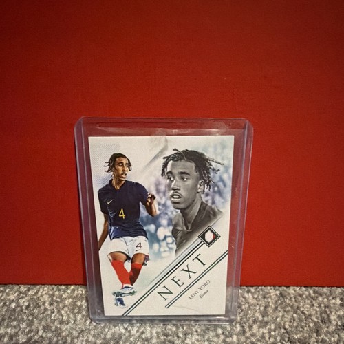 Futera 2025 unique leny - 2025, yoro