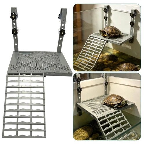 Turtle basking platform - turtle, ramp