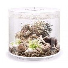 biOrb TUBE 35 Aquarium with