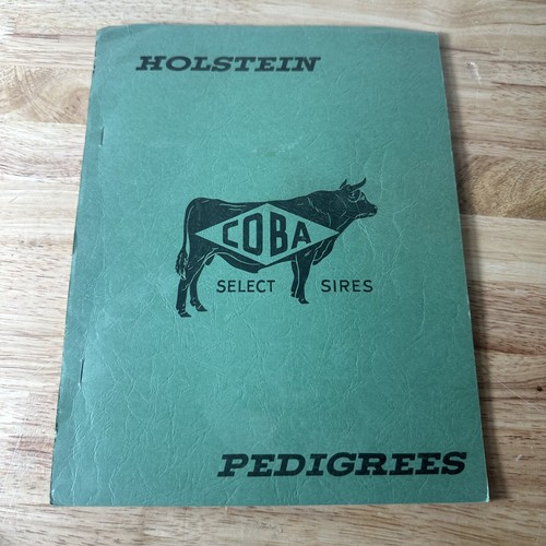Vintage 1965 holstein coba - vintage,