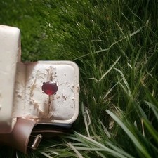 geniune red andesine