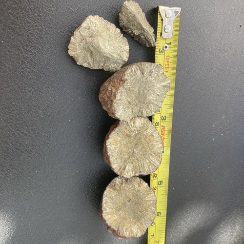 Iron pyrite nodule from - iron,