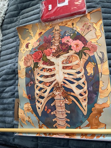 Set three floral anatomical - set,