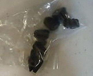 Yamaha xjr 1300 2007 2008 - yamaha,