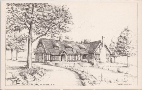 Edward goodall artist the - edward,