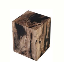 Petrified Wood Stool Accent