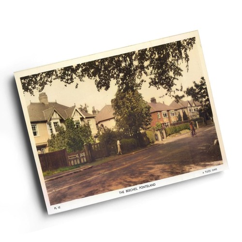 Print vintage - print,