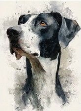 German Short Haired Pointer