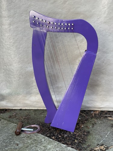Stings musical instruments - 12,