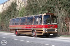 Coach Photo - Golden Boy