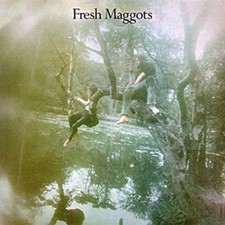 FRESH MAGGOTS - HATCHED
