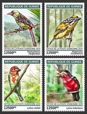 BARBETS Barbet Tropical Birds/Bird 4v MNH Stamp Set #888 (2019 Guinea)
