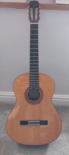 Acoustic guitar - acoustic,