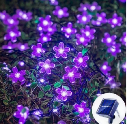 Solar cherry garden - solar,