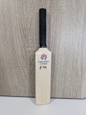 Lancashire Cricket Mini