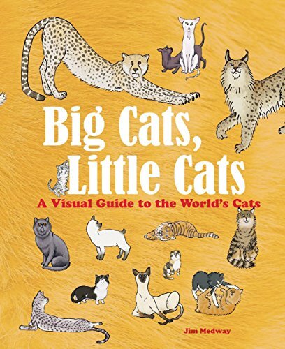 Big cats little - little, cats: