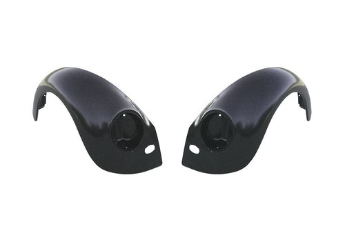 Front wing bundle beetle - front,