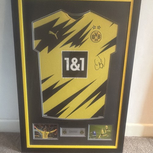 Borussia dortmund bvb - borussia,
