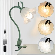 Clip On Light and Flower