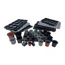 Plant pots with - plant,