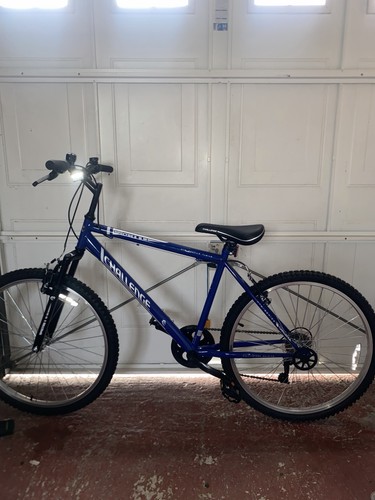 Mountain bike - mountain,