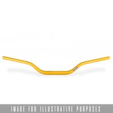 APRILIA Tuono V4 1100 RR 2017