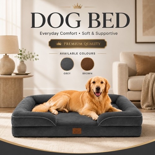 Large orthopedic pet bed - orthopedic,