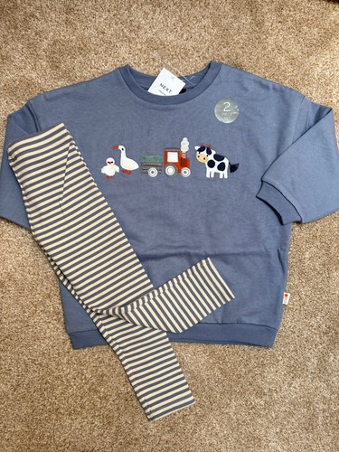 Bnwt next boys sweater - bnwt,