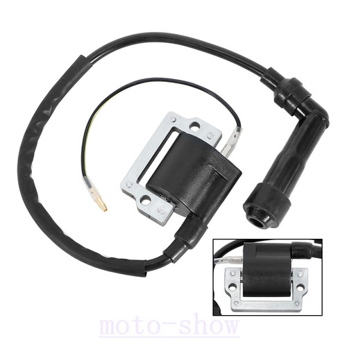 Ignition coil for can - for, ds650