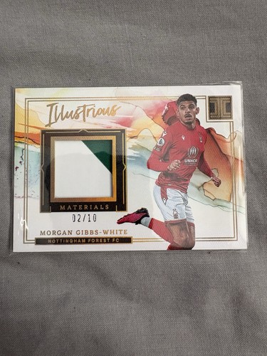 Panini impeccable illustrious - panini,