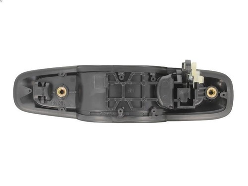 Exterior door handle blic - door,