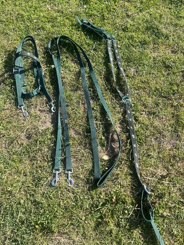 Lovely western webbed green - lovely,