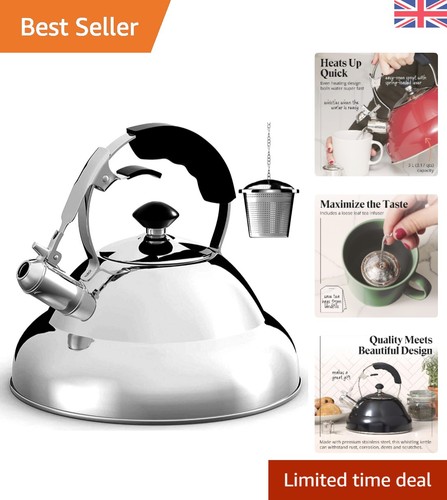 Stainless steel teapot - stainless,