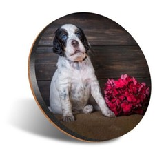 1x Round Coaster 12cm English