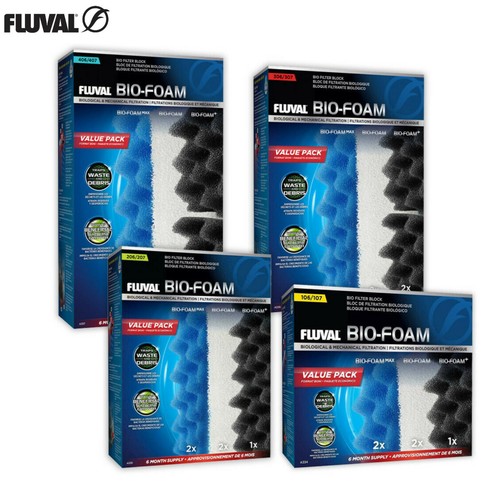 Fluval aquarium fish - fish, tank