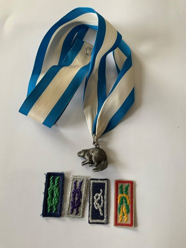 Boy scouts america silver - of,