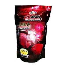 Okiko Cichlid Flowerhorn Fish