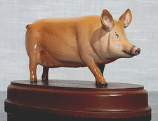 Royal Doulton Tamworth Pig on