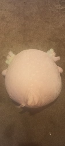 Squishmallow axolotl for buyer - squishmallow,